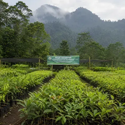 Muhtar Bibit Unggul - foto
